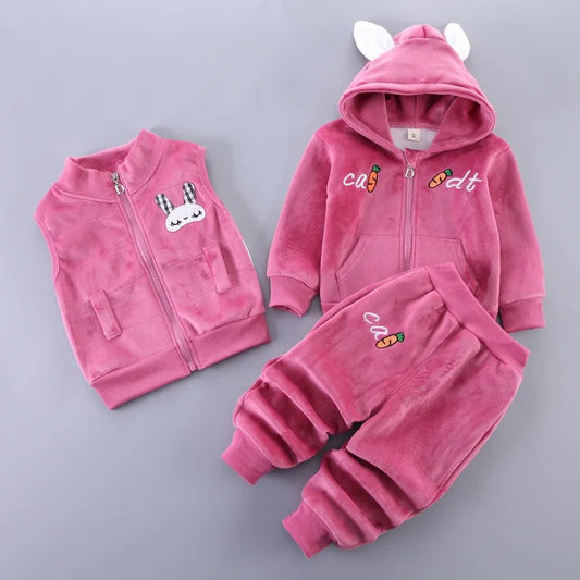 3 Pcs Warm Toddler set for Girl- Vest-Pullover-Pants-Pink